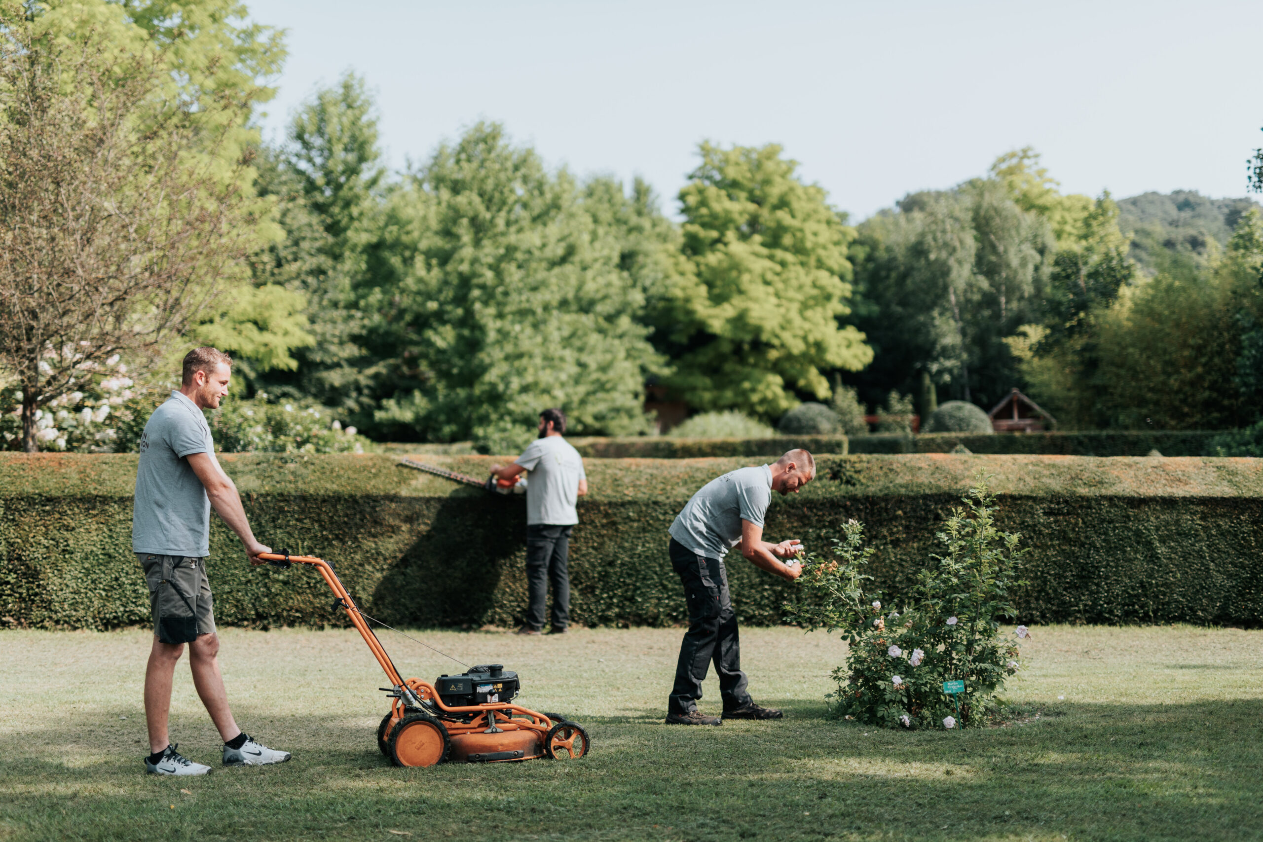 Jardin entretenu avec pelouse tondue