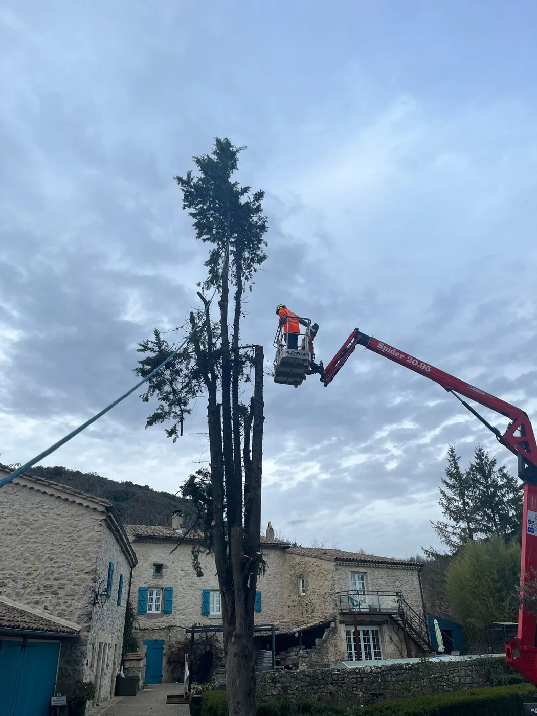 Démontage sécurisé d’un arbre à la nacelle